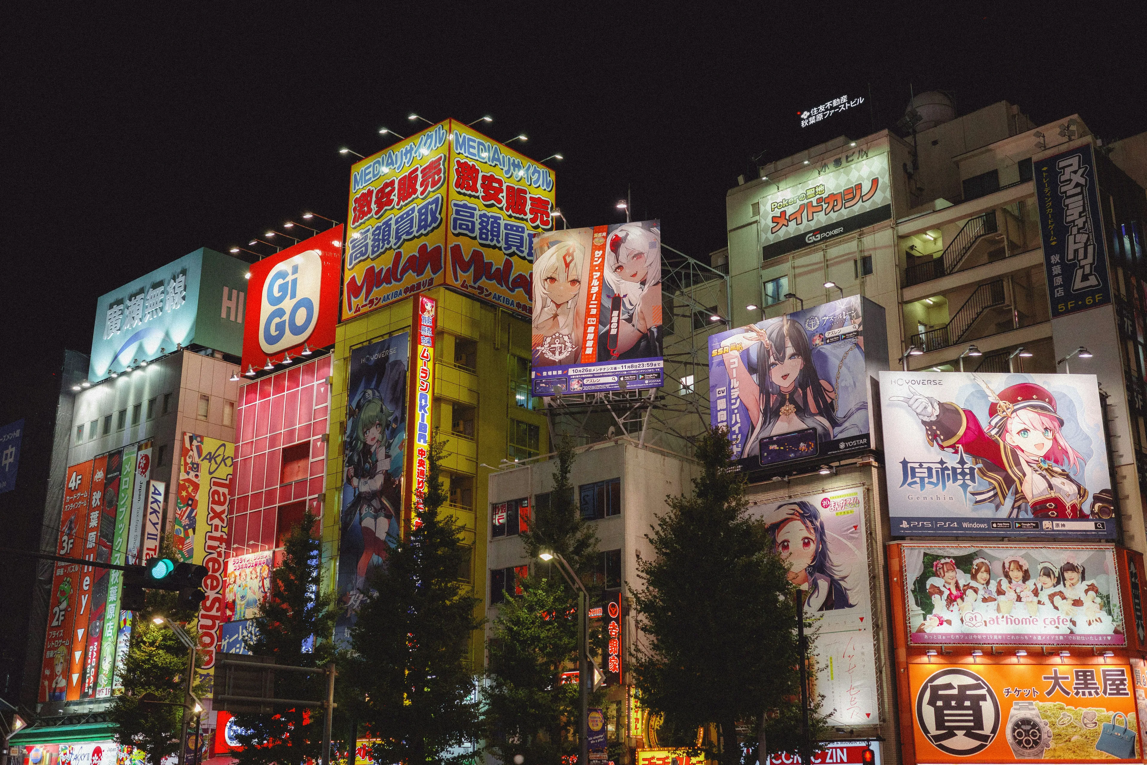 Tour privado por Akihabara