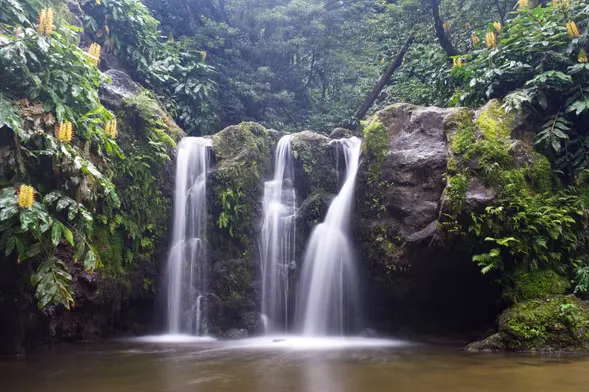 Visitas a cascadas y descenso