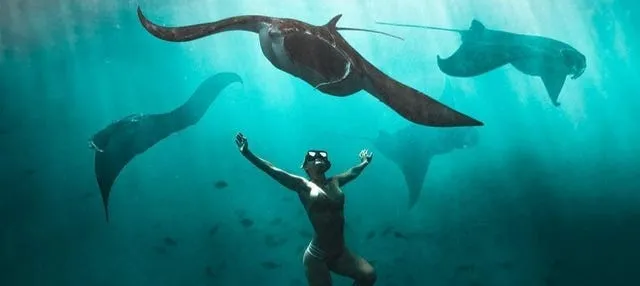 Snorkel con mantarrayas en Nusa Penida