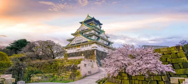 Tour privado por Osaka con guía en español