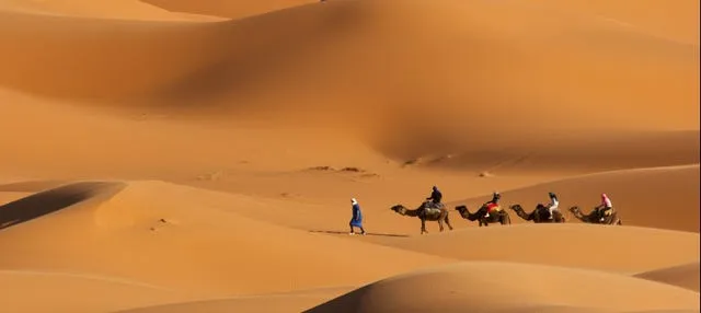 Paseo en camello por el desierto con cena y espectáculo