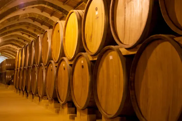Excursión a la Viña Concha y Toro