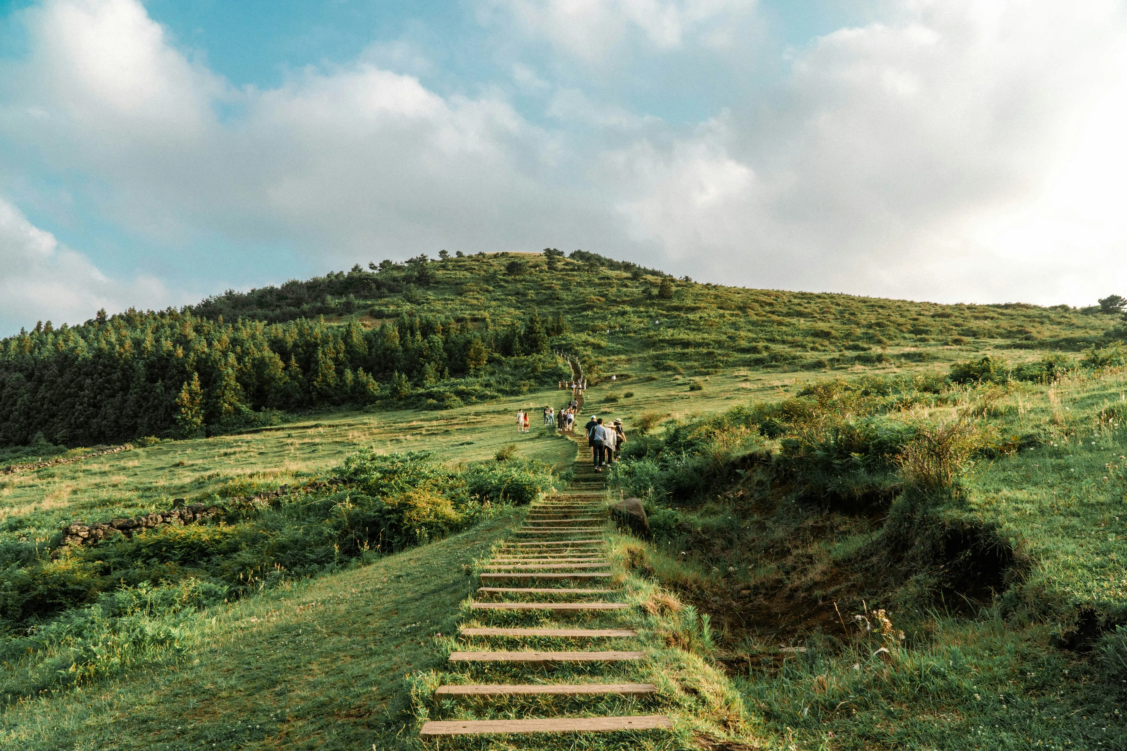 Excursión de un día a lo más destacado del este de Jeju