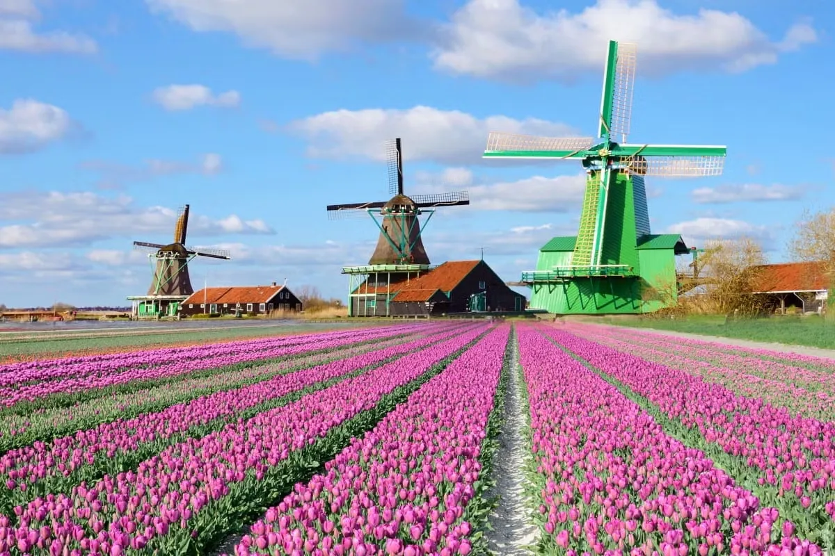 Excursión a Zaanse Schans