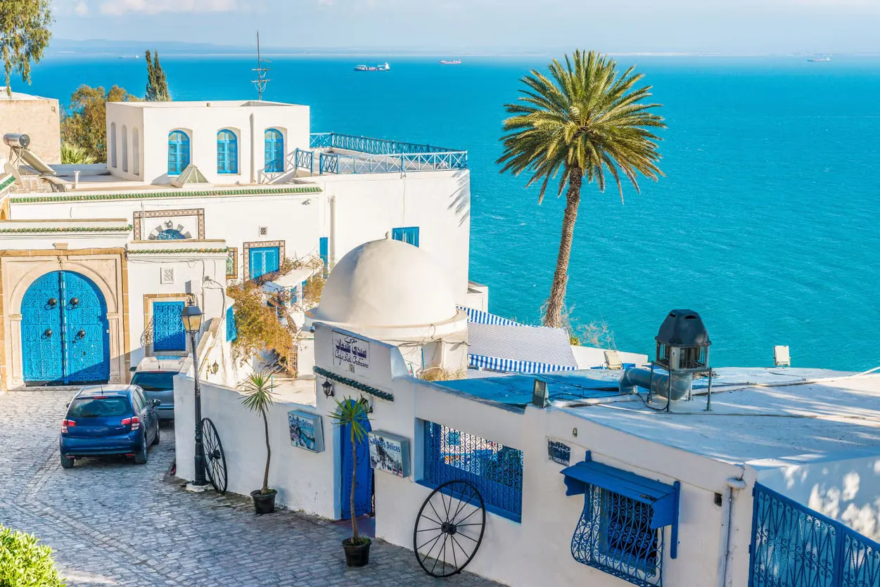 Excursión a Cartago y Sidi Bou Said