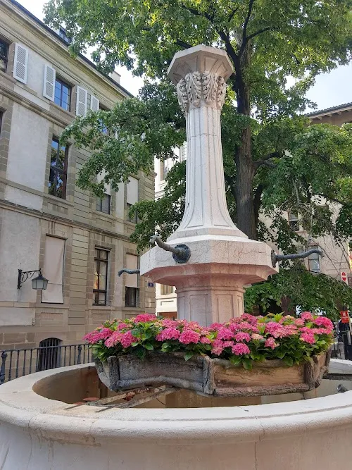 Geneva hero image
