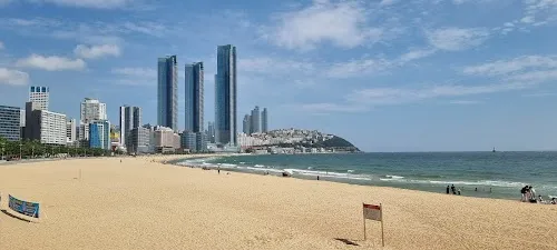 Busan hero image