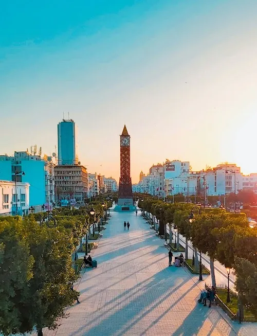 Tunis hero image