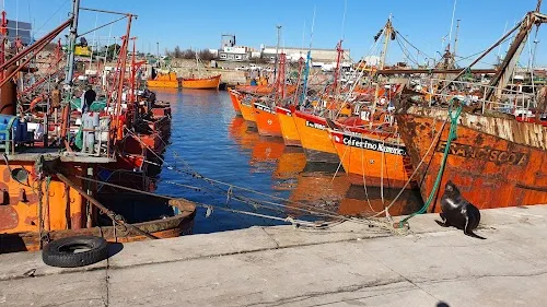 Puerto de Mar del Plata