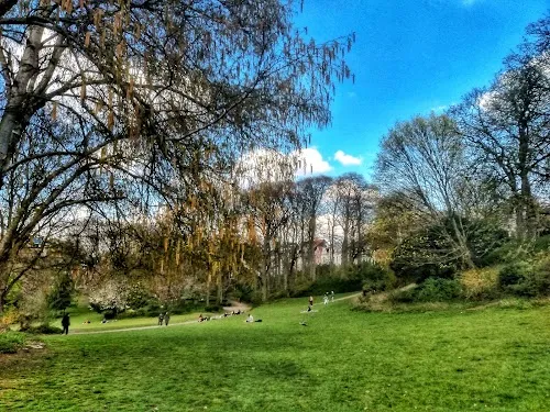 Parque del Bosque