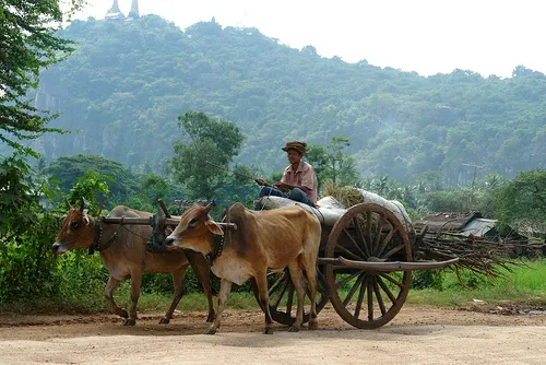 Battambang