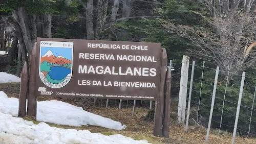 Reserva Nacional Magallanes