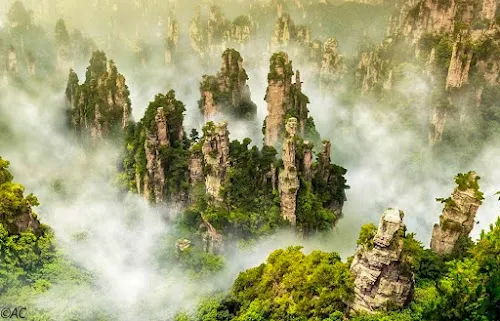 Parque Nacional Forestal de Zhangjiajie