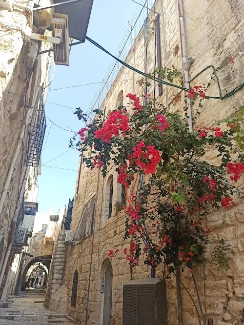Barrio Musulmán