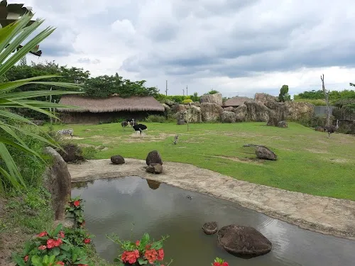 Bioparque Ukumarí