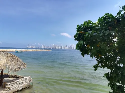 Playa Punta Arena