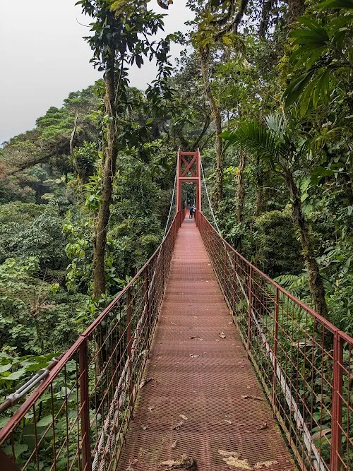 Reserva Biológica Bosque Nuboso Monteverde