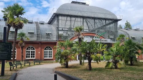 Jardín de Palmeras