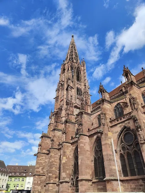 Catedral de Freiburgo