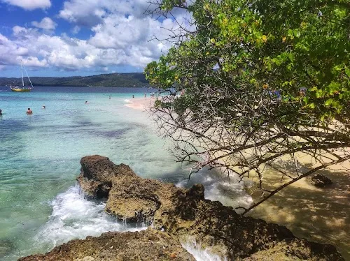 Isla Bacardi
