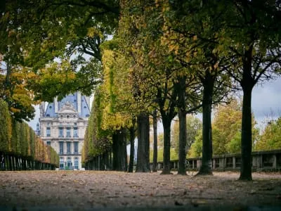 Jardín de las Tuileries