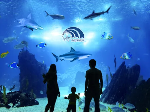 Acuario Grande de Hurghada
