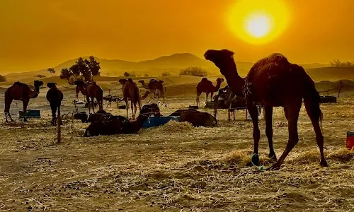 Excursiones al Desierto del Sahara
