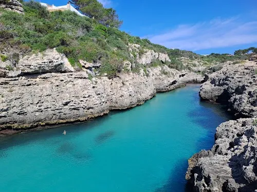 Playa Cala en Brut