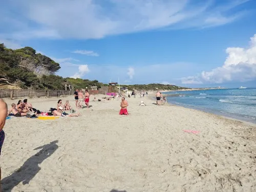 Playa de Ses Salines