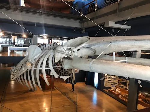 Museo Marítimo del Cantábrico