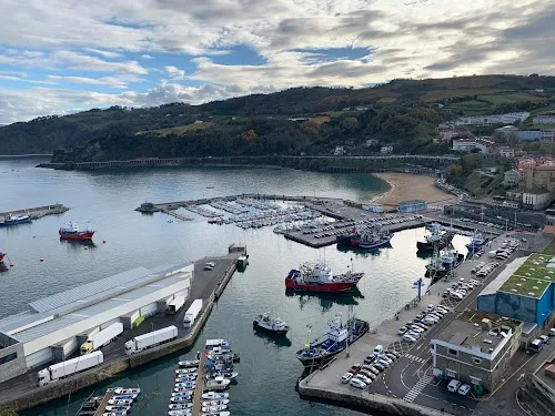 Monte San Antón