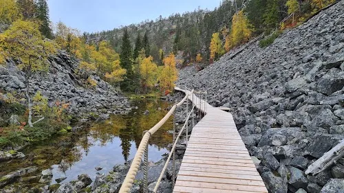 Parque Nacional Pyhä-Luosto