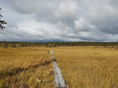 Parque Nacional Urho Kekkonen