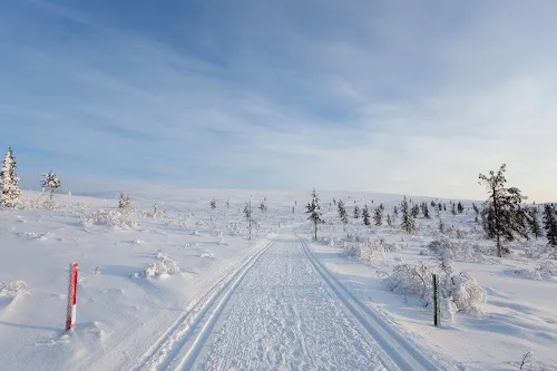 Saariselkä