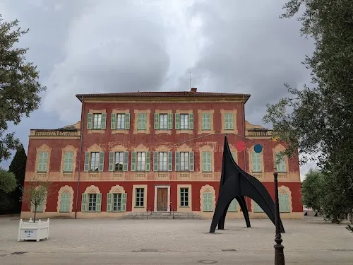 Museo Matisse