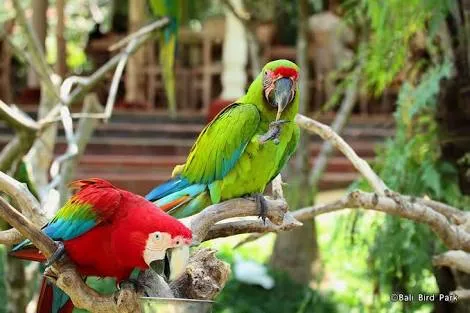 Parque de Aves