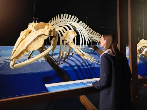 Museo de Husavik