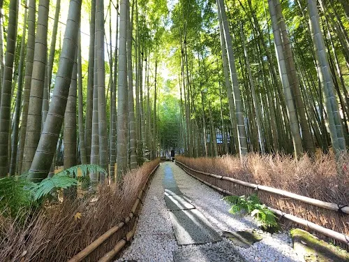 Templo Hokokuji
