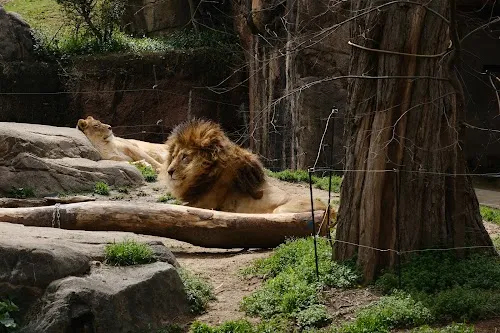 Zoológico de Tennoji