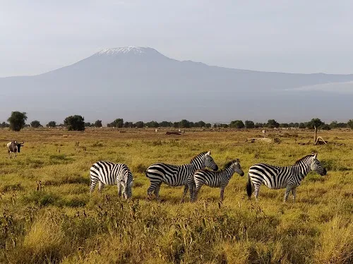 Parque Nacional Amboseli