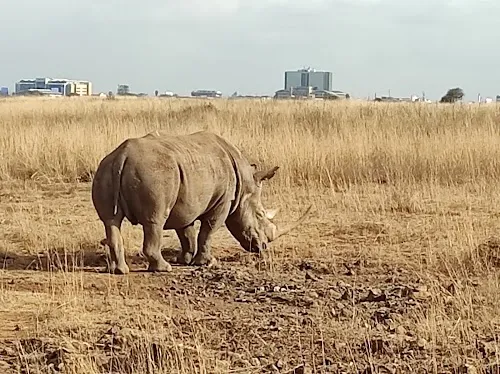 Parque Nacional de Nairobi
