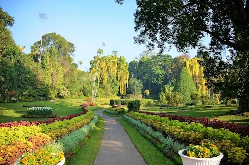 Jardines Botánicos de Peradeniya