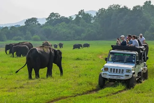 Parque Nacional de Minneriya