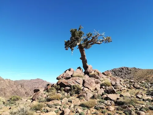 Monte Sahro