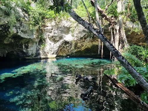Gran Cenote