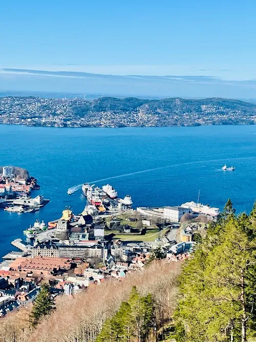 Monte Fløyen