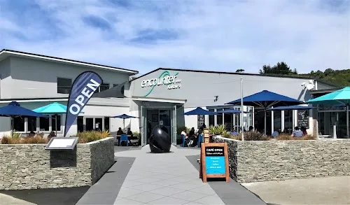Encuentro de Albatros de Kaikoura