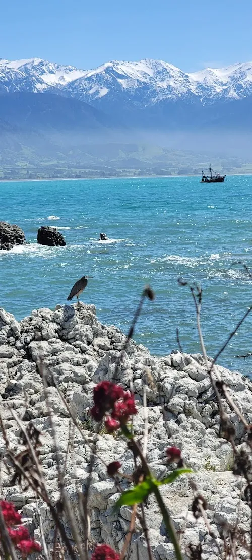 Península de Kaikoura