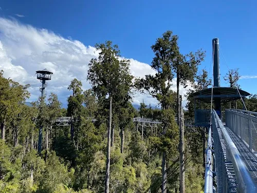 Pasarela de la Copa de los Árboles de Hokitika