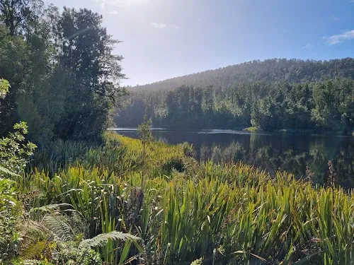 Lago Matheson
